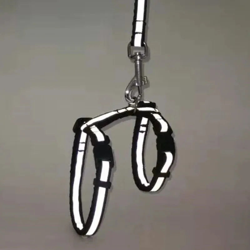 harnais pour chat réfléchissant noir