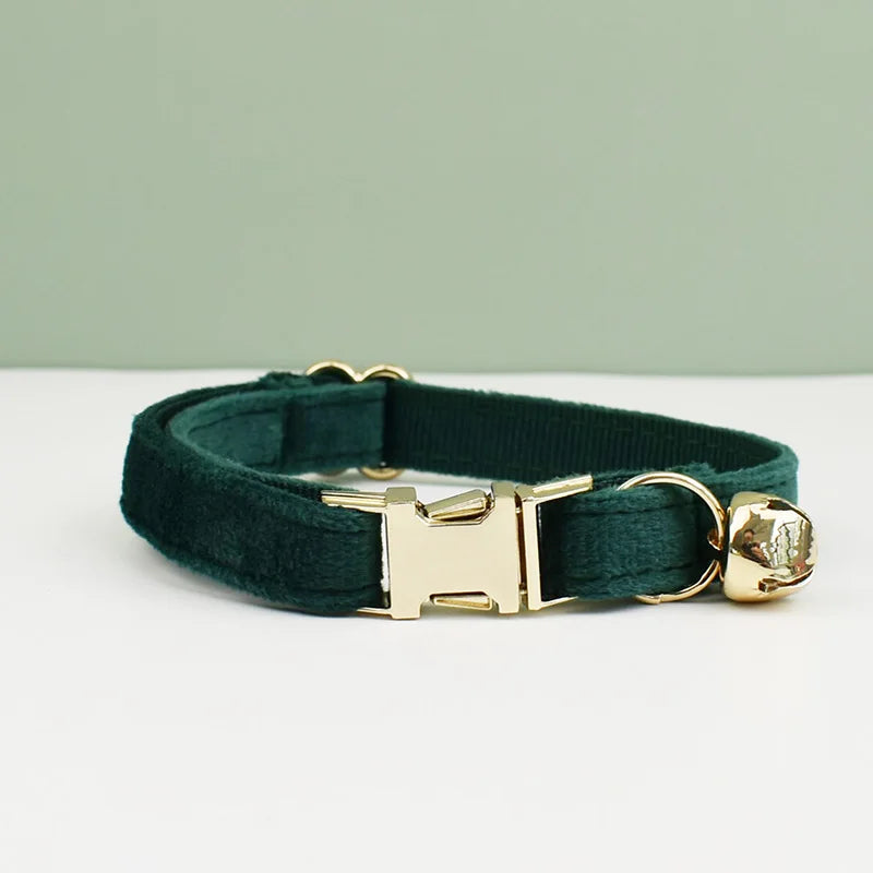 collier vert pour chat