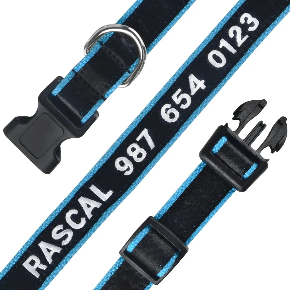 collier personnalisable pour chat 