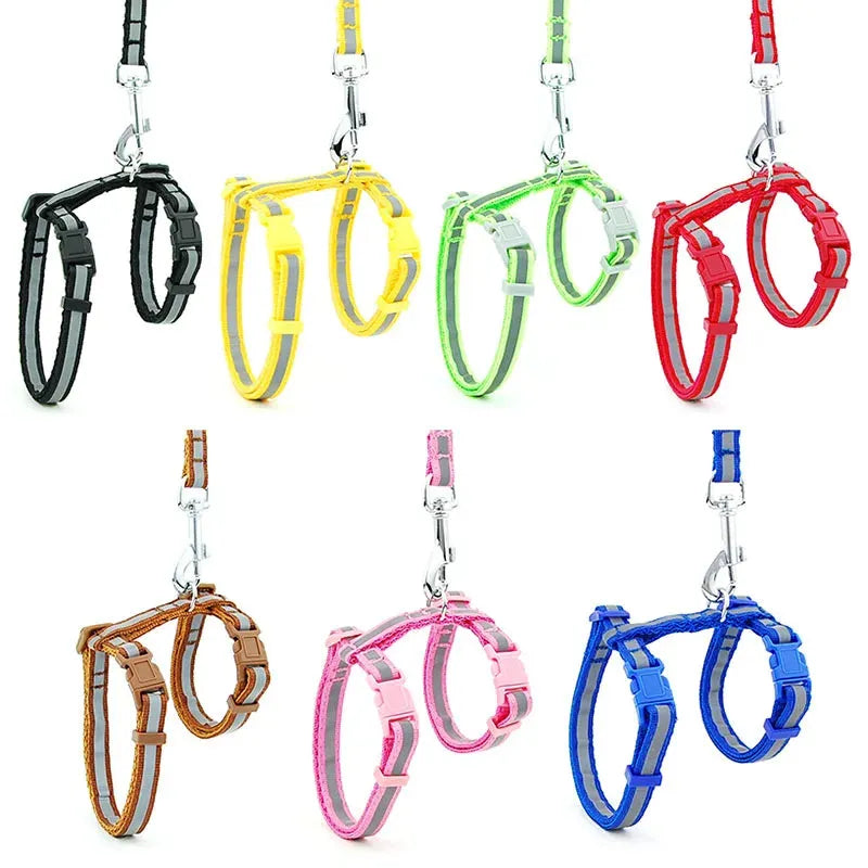 harnais pour chat personnalisé couleurs