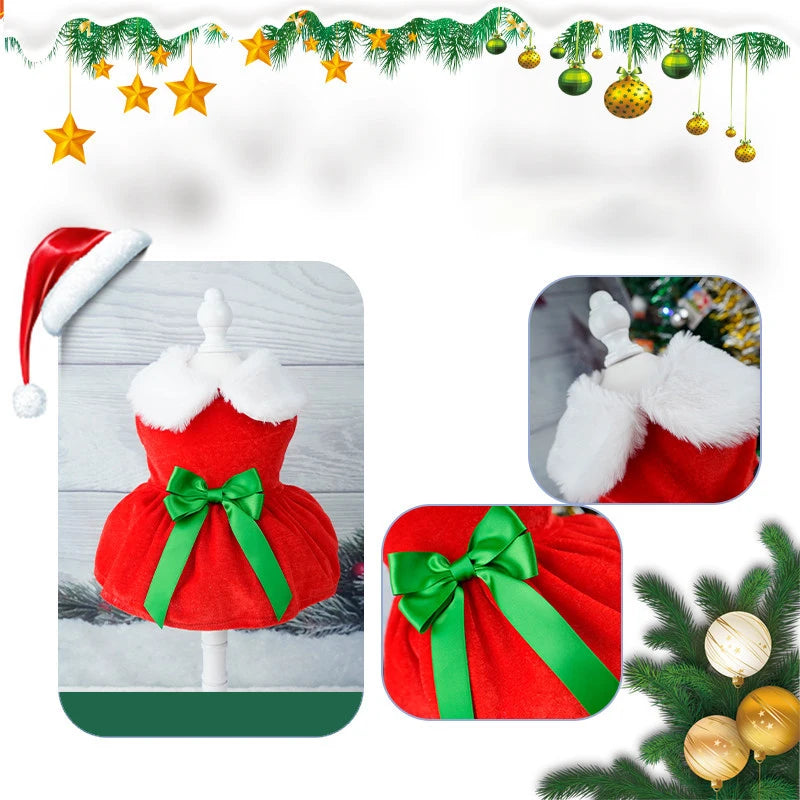 Robe de Noël pour chat