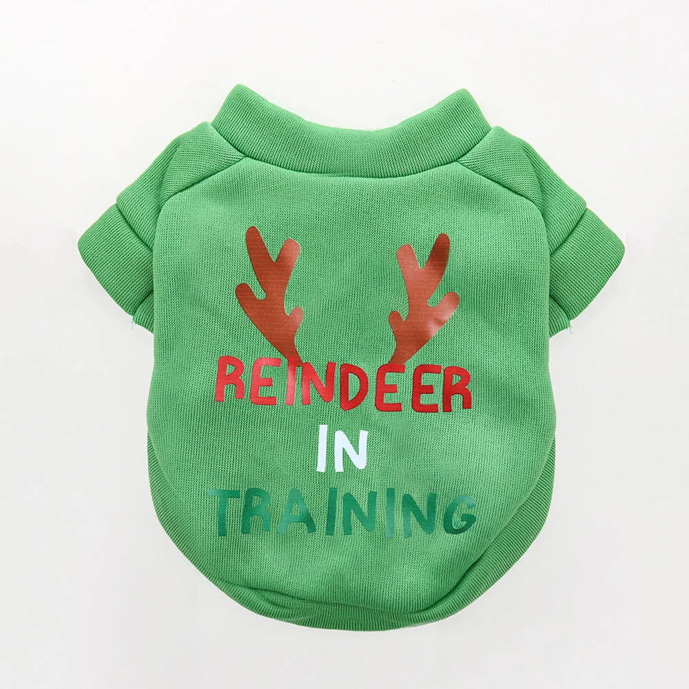 Pull de Noël pour chat vert motif bois de renne | Chic et Chat