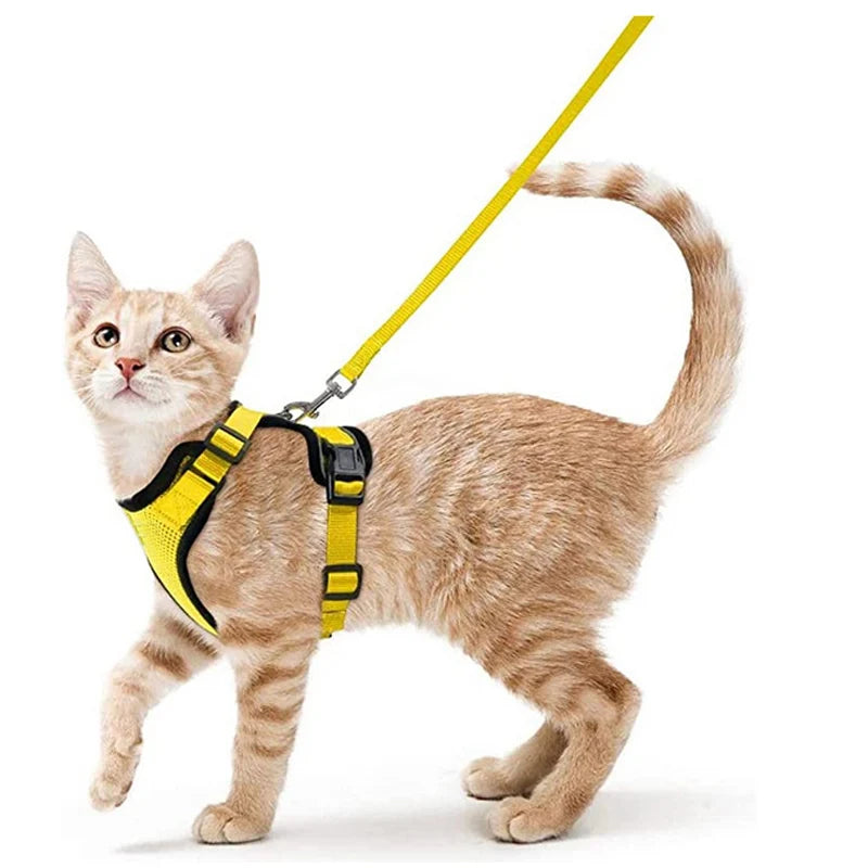 Harnais pour chaton jaune