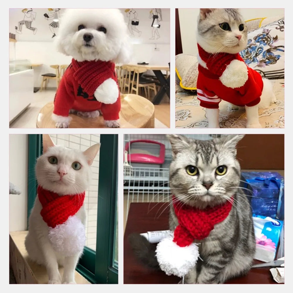 Chats et chiens portant le bonnet de Noël et l'écharpe | Chic et Chat