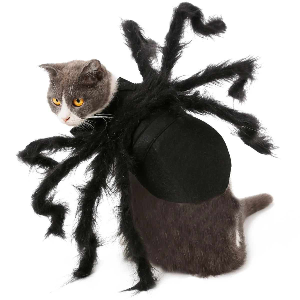Costume pour chat araignée