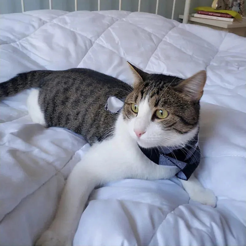 Western Cowboy Bandana für Katzen, trendiges Accessoire, Farbe 19 | Chic et Chat