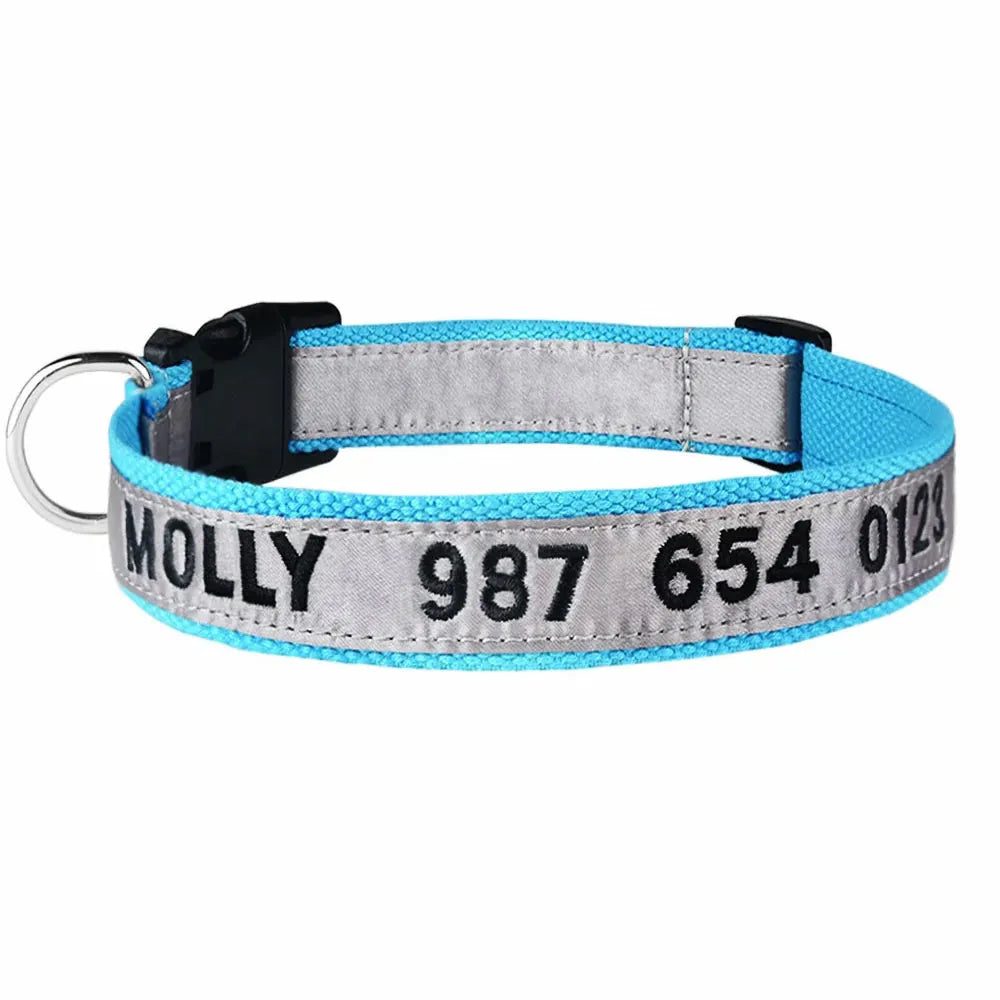 collier gris pour chat