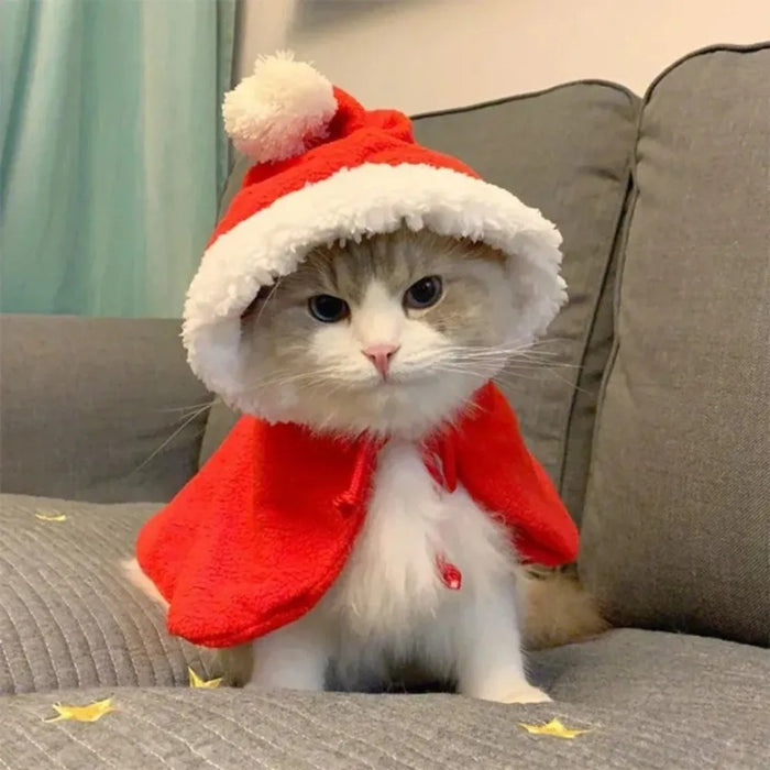 Giacca di Natale per gatto