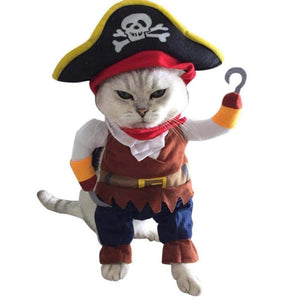 costume chat pirate déguisement
