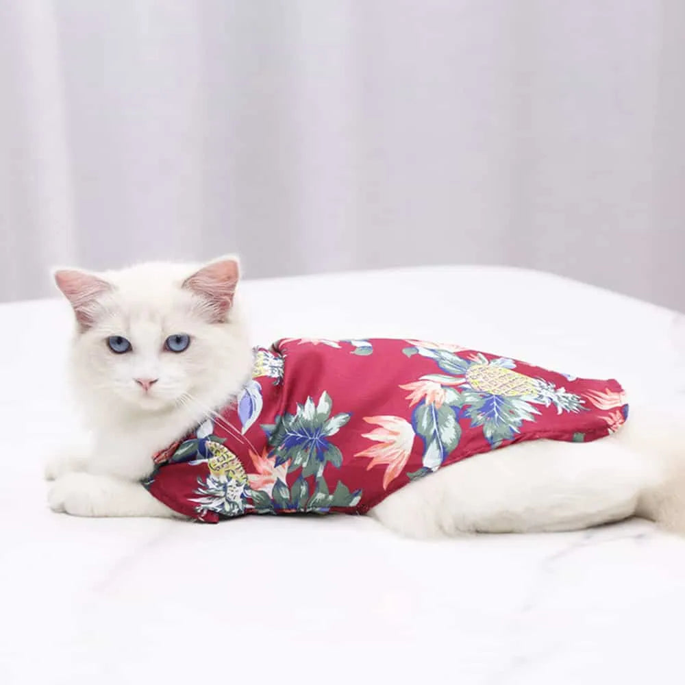 Hawaiian Cat Shirt, Summer Look - Multicolor | Chic et Chat