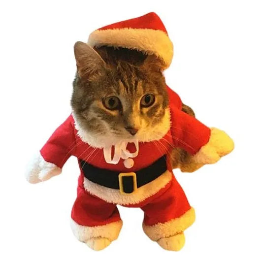 costume pour chat de père noël
