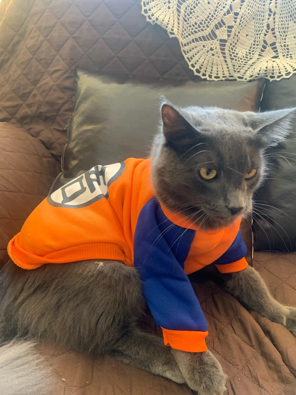 Manga-Sweatshirt DBZ für Katzen | Chic et Chat