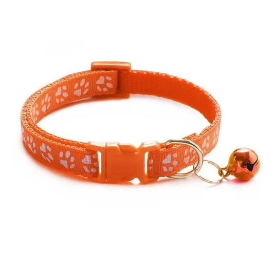 collier pour chat orange