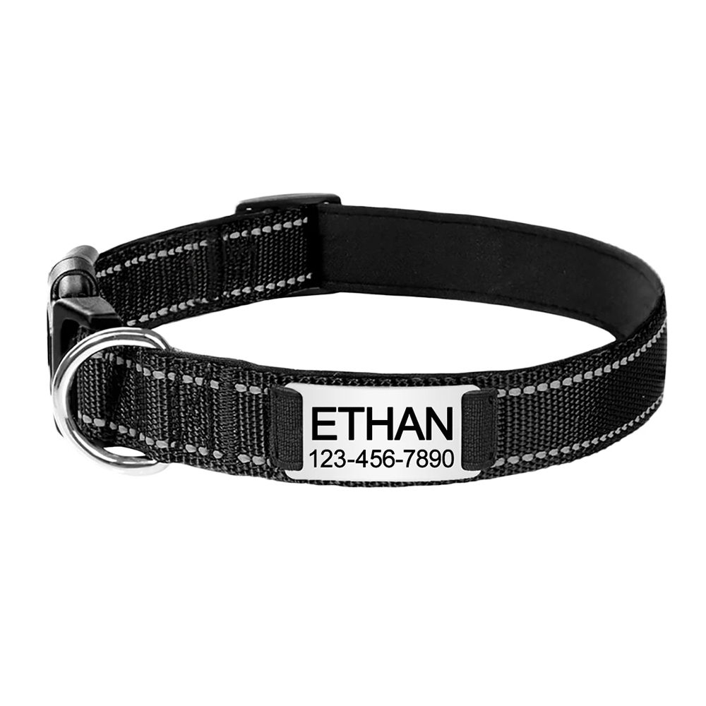 Collier pour chat réfléchissant et gravé
