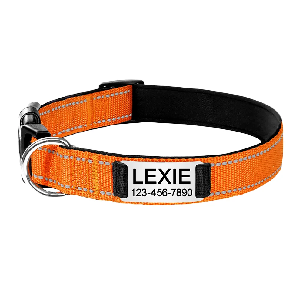 Collier pour chat réfléchissant et gravé