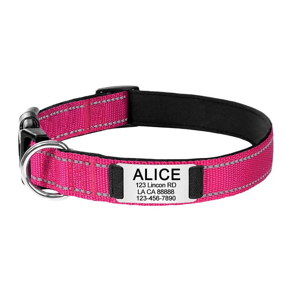 Collier pour chat réfléchissant et gravé