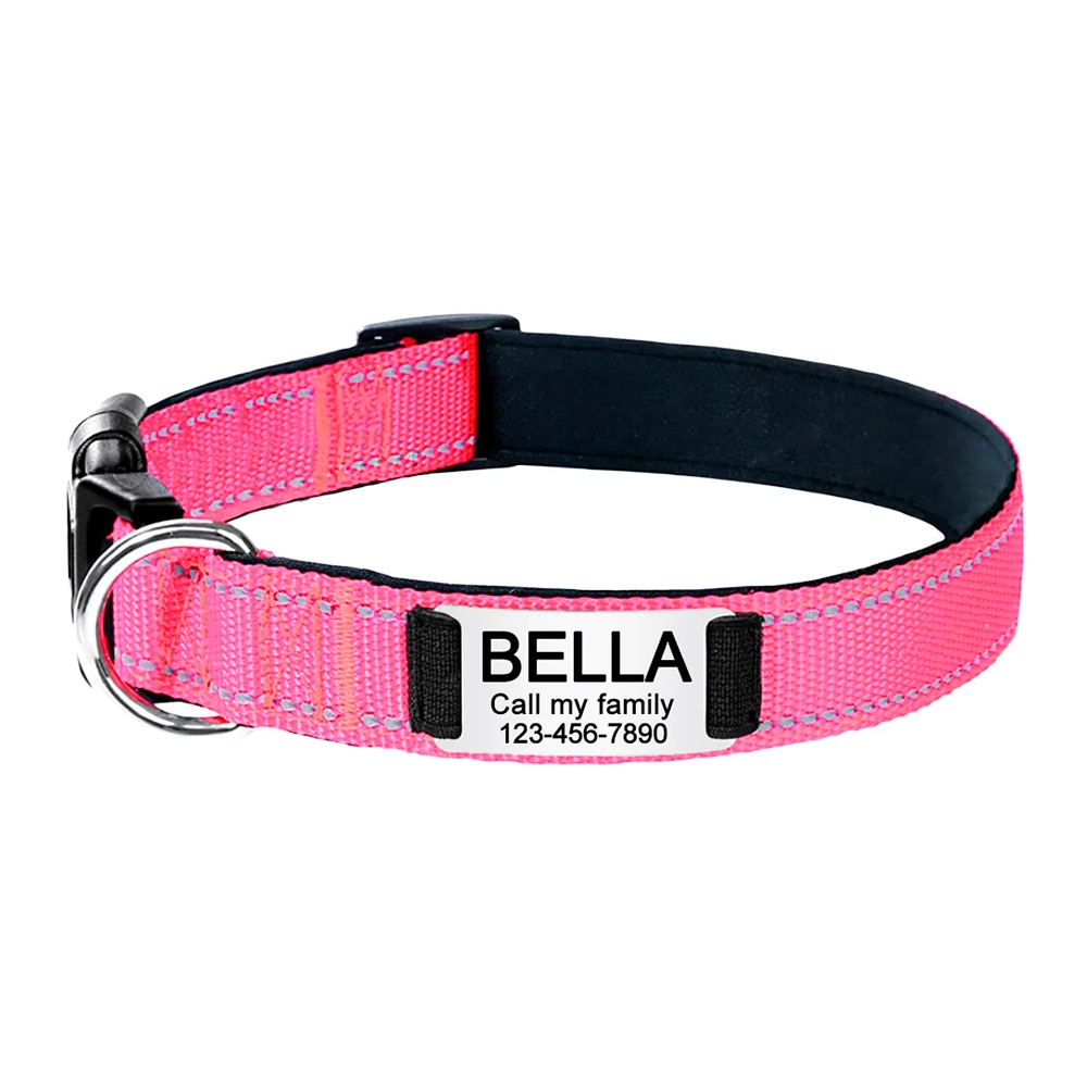 Collier pour chat réfléchissant et gravé