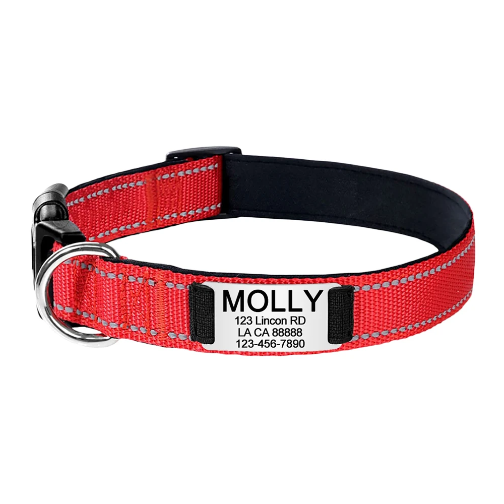Collier pour chat réfléchissant et gravé