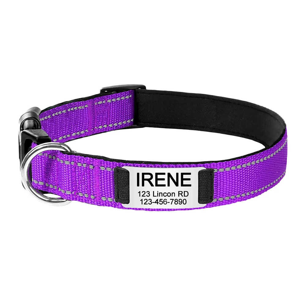 Collier pour chat réfléchissant et gravé