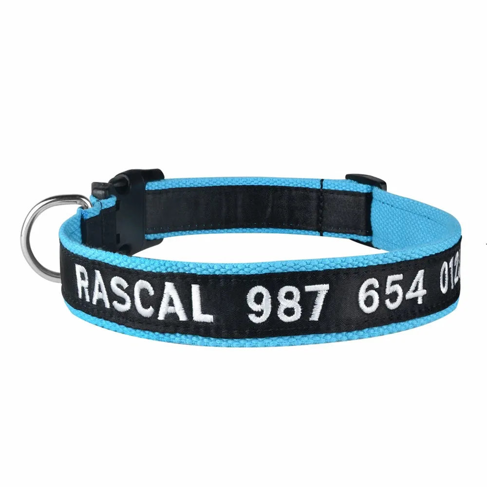 collier personnalisable pour chat bleu et noir