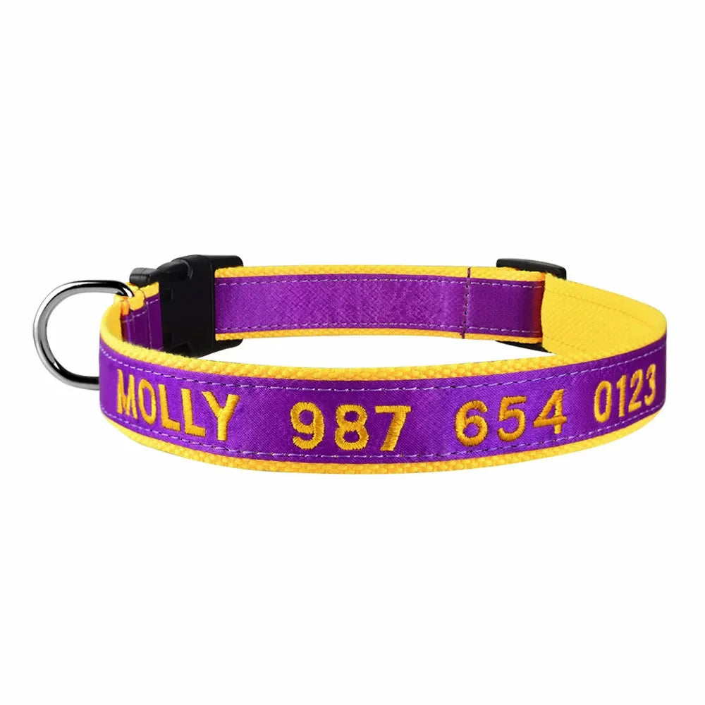 collier personnalisable pour chat violet