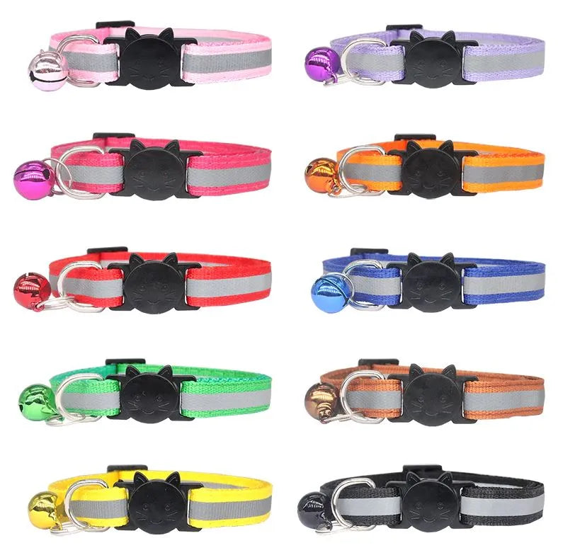 colliers personnalisé chat nylon