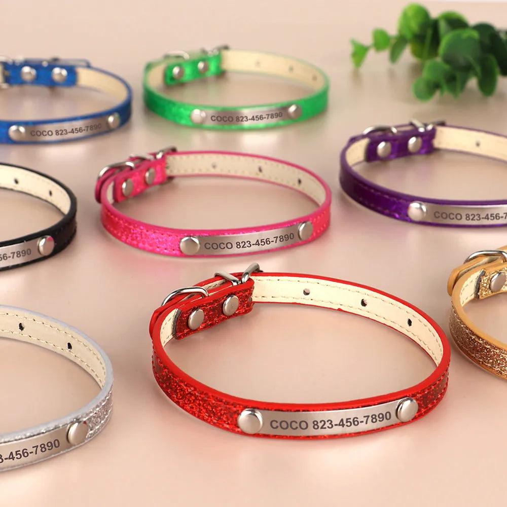 collier pour chat personnalisé brillant | Chic et Chat