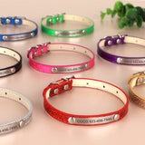 collier pour chat personnalisé brillant