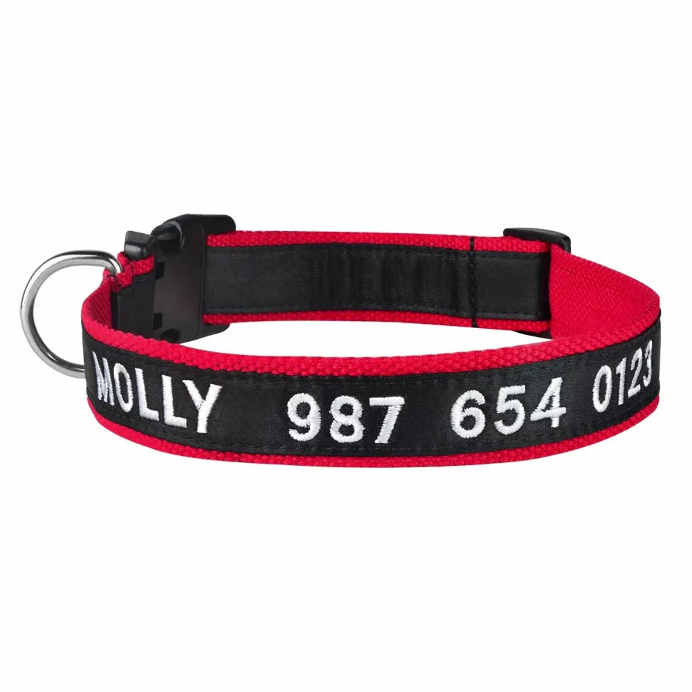 collier personnalisable pour chat rouge