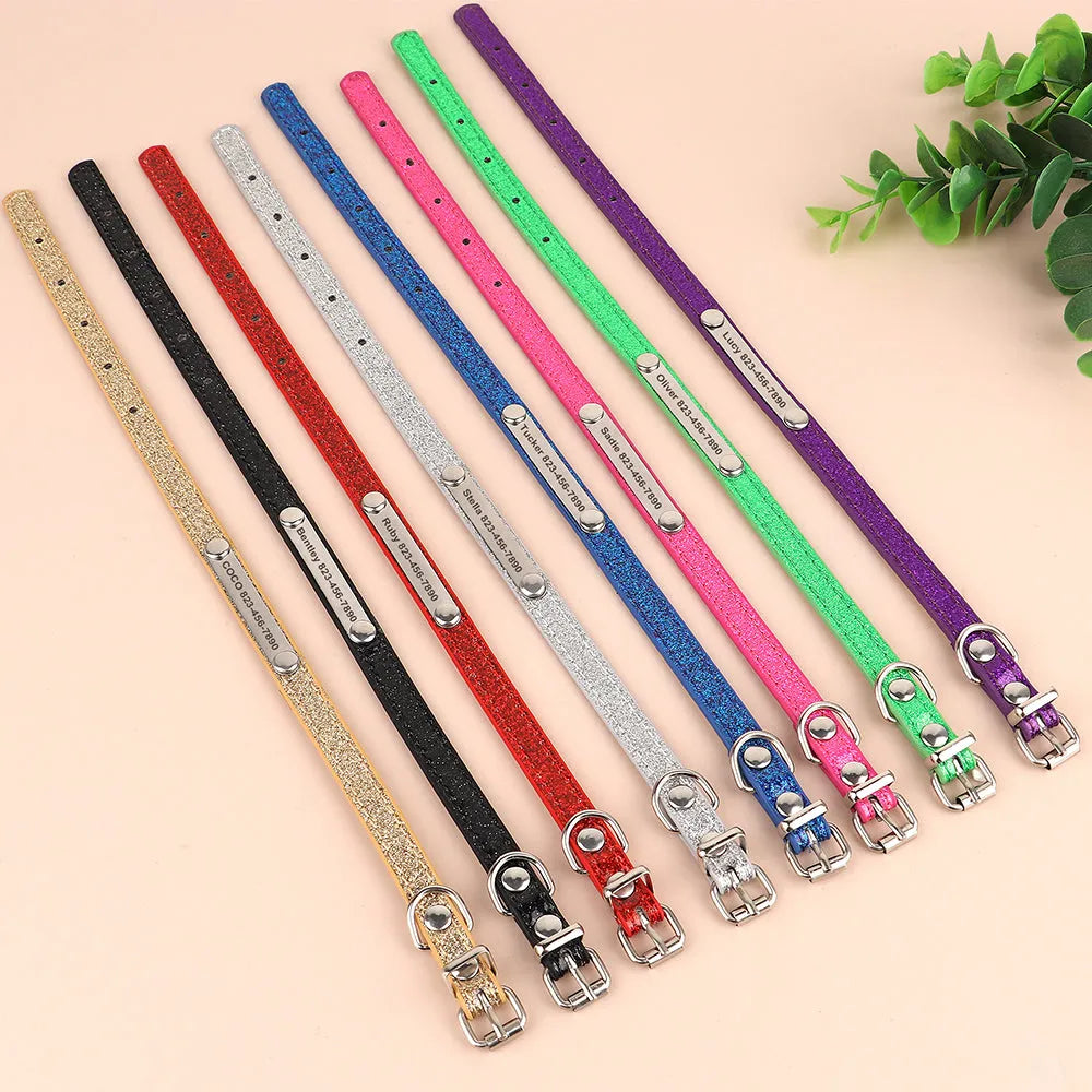 collier pour chat personnalisable