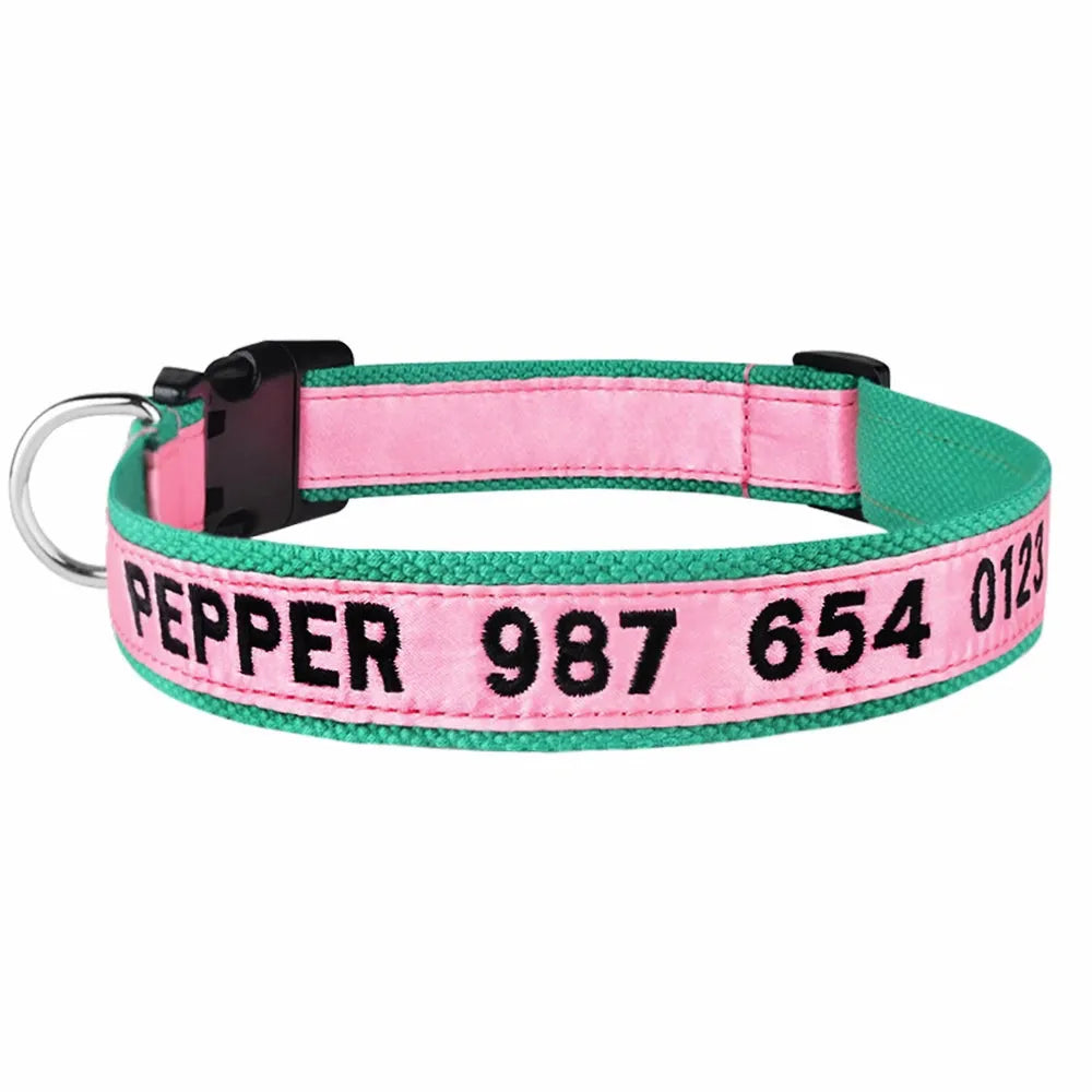 collier rose pour chat