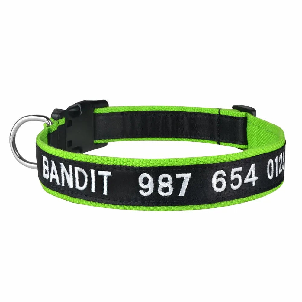 collier personnalisable pour chat vert