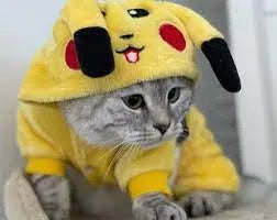Yellow Pikachu cat costume | Chic et Chat