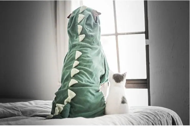 costume de dinosaure pour chat