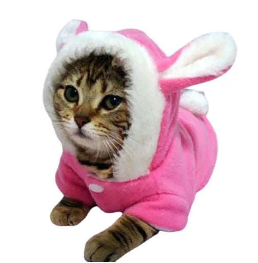 Disfraz para gatos: chaqueta con orejas de conejo