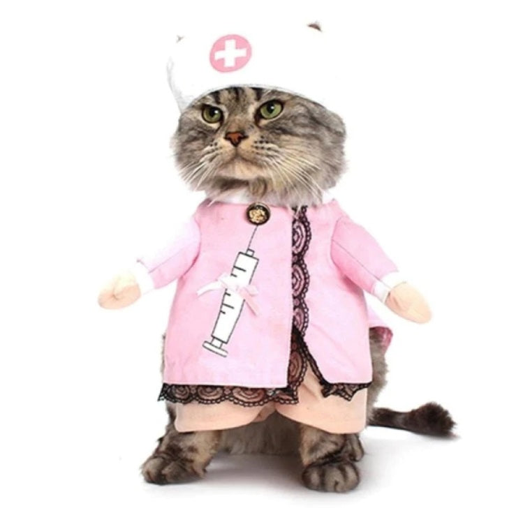 costume pour chat infirmière