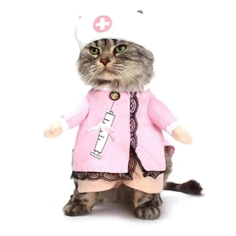 Nurse cat costume | Chic et Chat