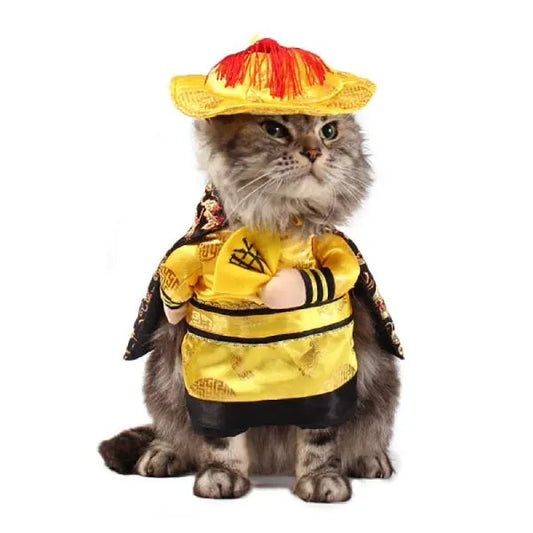 déguisement chat empereur