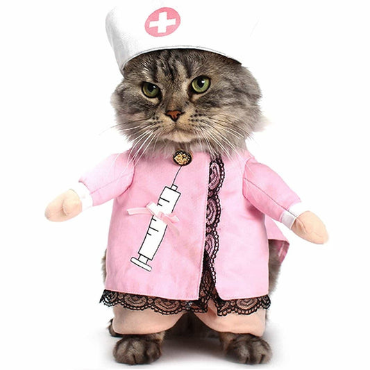 déguisement pour chat infirmière