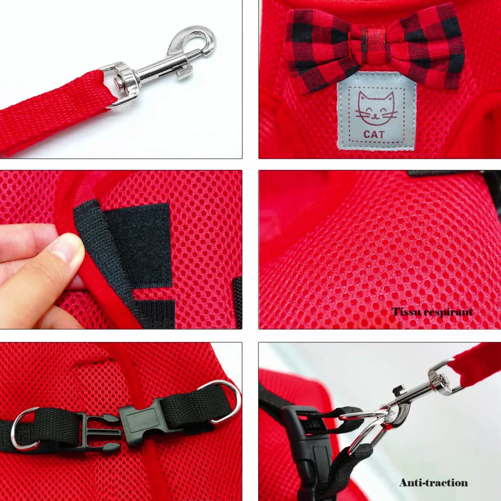 Harnais pour chat respirant