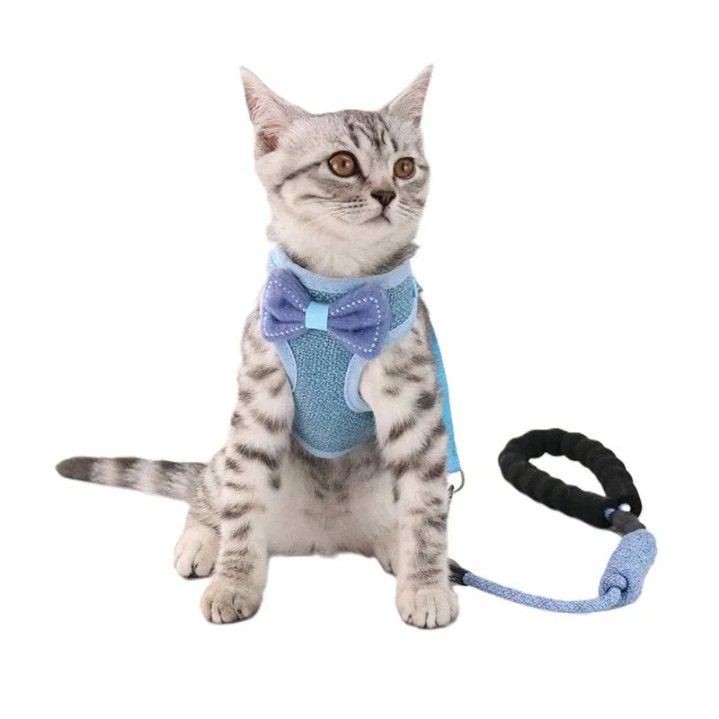 Blaues Katzengeschirr | Chic et Chat
