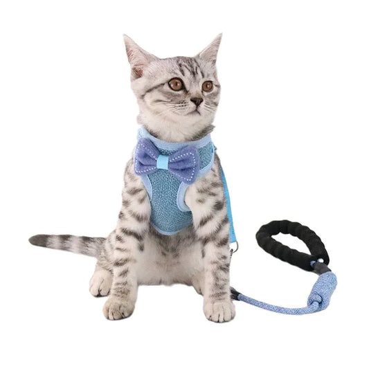harnais pour chat bleu