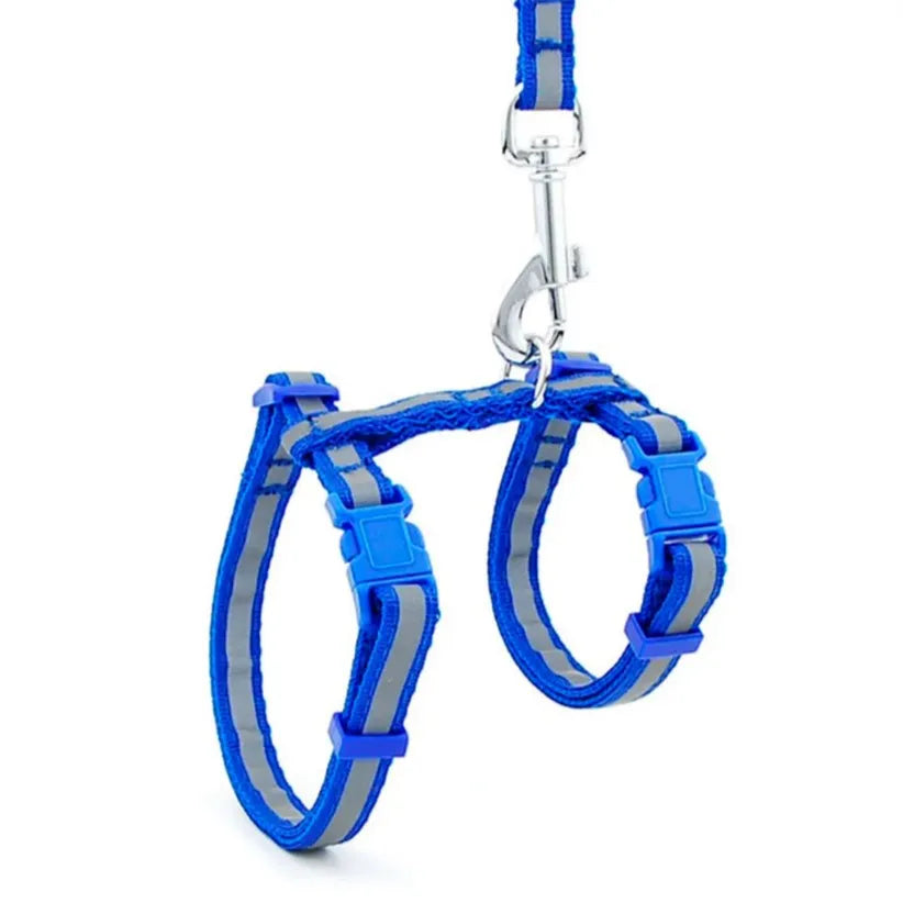 Harnais pour chat personnalisé