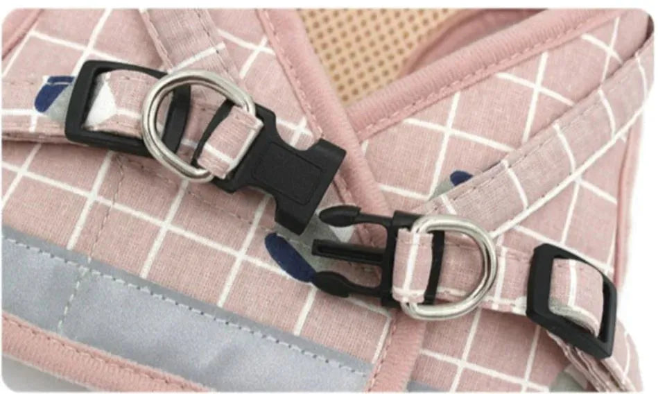 Cat harness | Chic et Chat