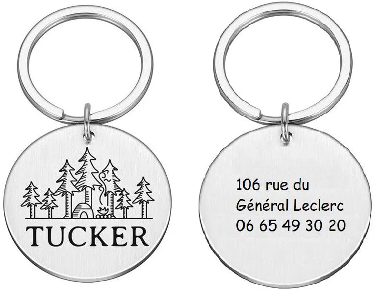 médaille gravée pour chat argent