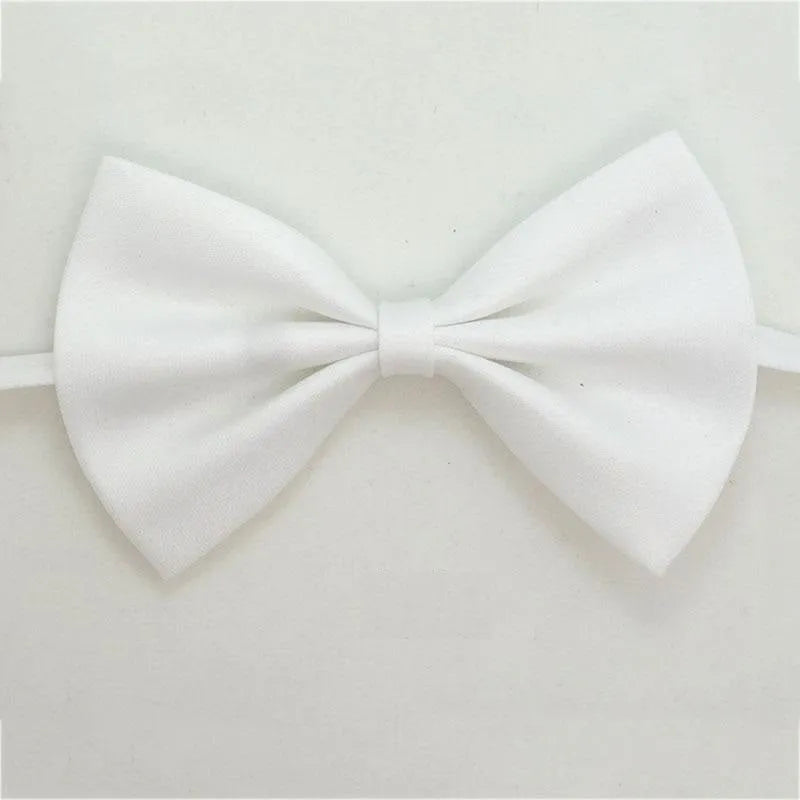 noeud papillon pour chat