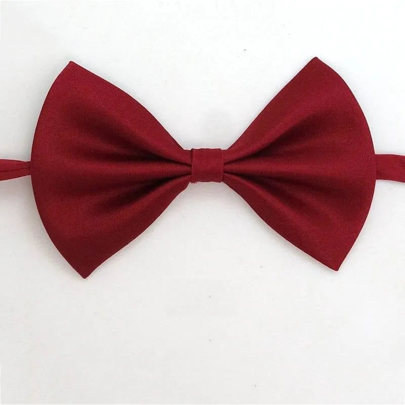 noeud papillon pour chat
