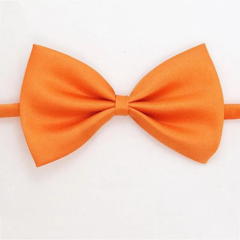 noeud papillon pour chat