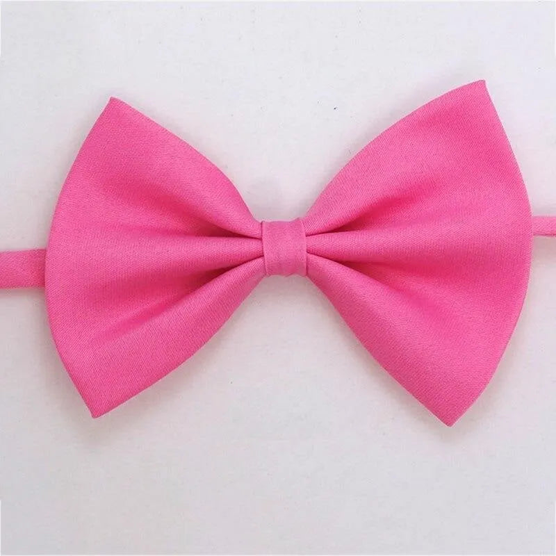 noeud papillon pour chat