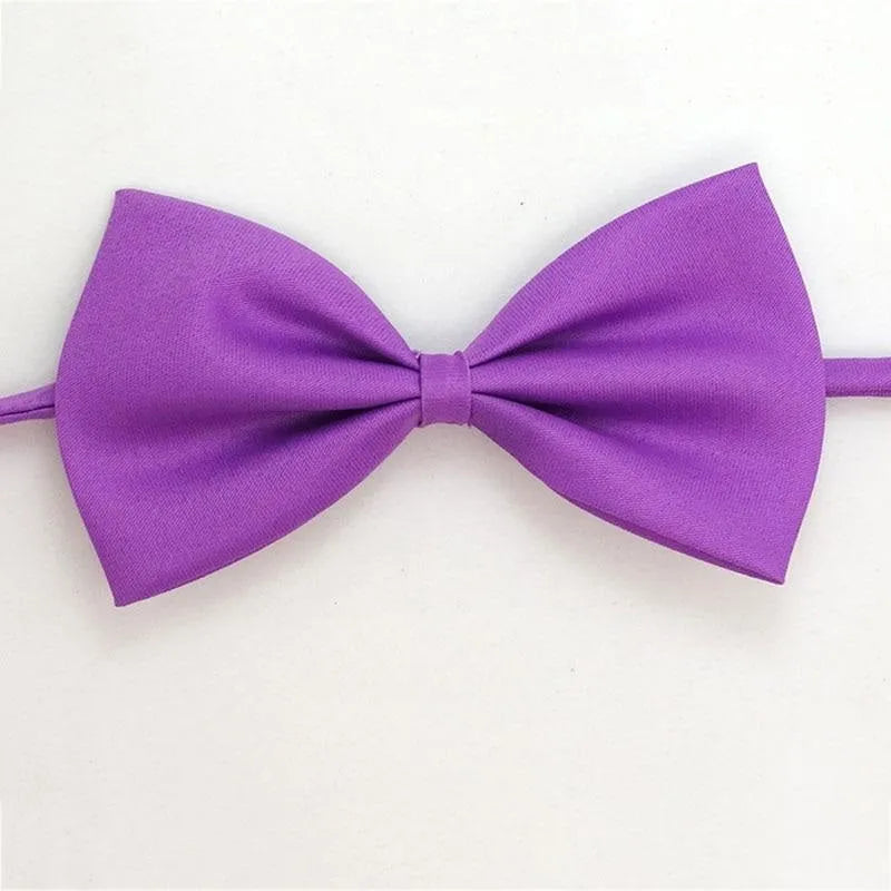 noeud papillon pour chat